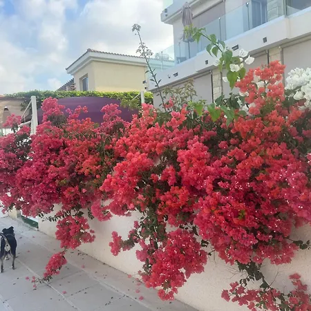 Homestay Sea Flowers Village *