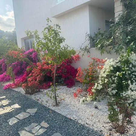 Sea Flowers Village Homestay *