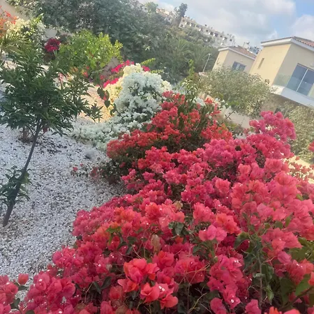 Sea Flowers Village Homestay